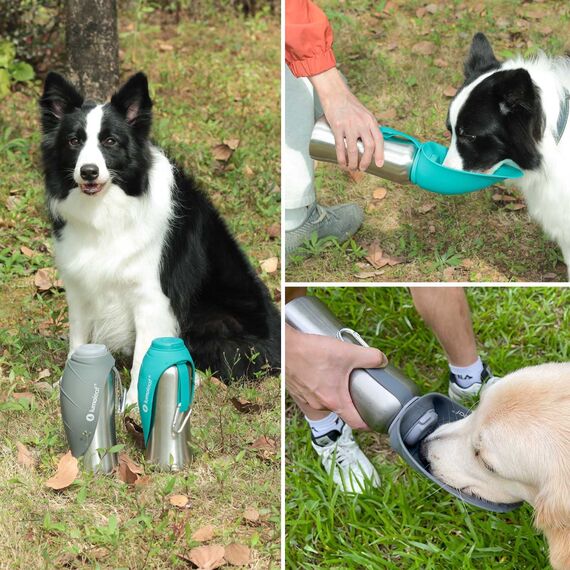 LumoLeaf Hundetrinkflasche für unterwegs, 800ml Edelstahl Trinkflasche Hund, Tragbare Haustier Wasserflasche, Hunde Wasserspender Reise Zubehör für Wandern und Campen (Grün)