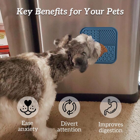OHMO Schleckmatte Hund, 2 Stück Leckmatten für Welpen Katzen zur Beruhigung und Beschäftigung, Einfach zu reinigen aus BPA freiem Silikon (Kaktus&Hellgrün)