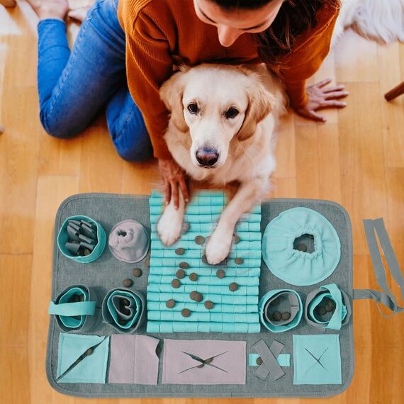 Futtermatte Trainingsmatte Hund SchnüFfelteppich Waschbar Trainingsmatte SchnüFfelteppich FüR Hunde Riechen Trainieren Gegen Langeweile Und Anregung LangsamfüTterungsunterlage FüR Welpen(66 * 42cm)