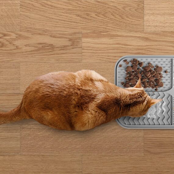 Leckmatte für Hunde und Katzen mit Saugnäpfen, langsames Füttern, Lecken für Angstzustände, Hundespielzeug, Fütterungsmatte für Butter, Joghurt, Erdnuss, Haustier-Badetrainingsmatte, 20 * 20cm