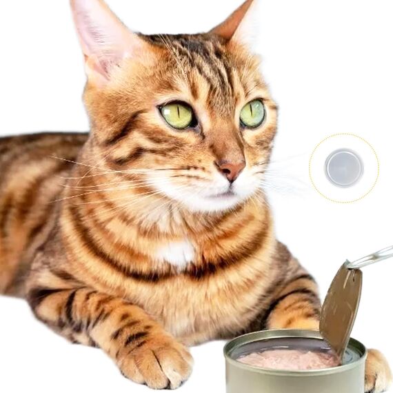 Rayconup Dosendeckel 400g, 6 Stück Deckel für Dosen, Waschbar Dosendeckel Deckel für Katzen & Hundefutter Dosen, Konservendosen für Aufbewahrung Lebensmittel Tierfutter Katzenfutter Hundefutt(75mm)