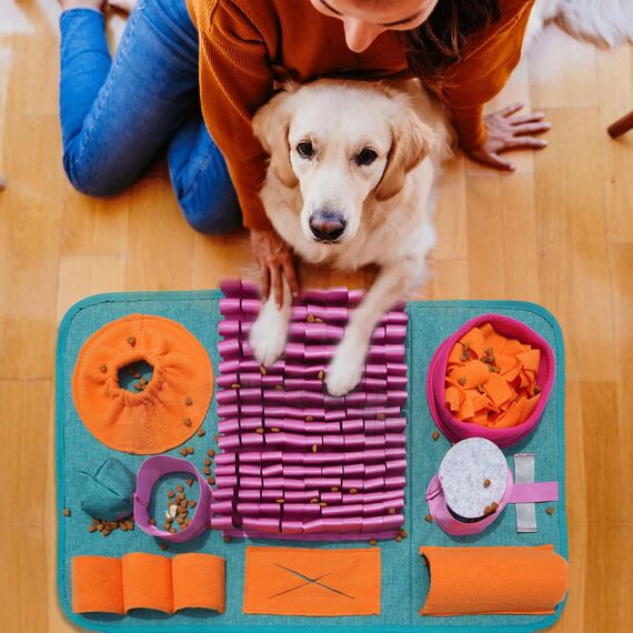 Futtermatte Trainingsmatte Hund SchnüFfelteppich Waschbar Trainingsmatte SchnüFfelteppich FüR Hunde Riechen Trainieren Gegen Langeweile Und Anregung LangsamfüTterungsunterlage FüR Welpen(66 * 42cm)