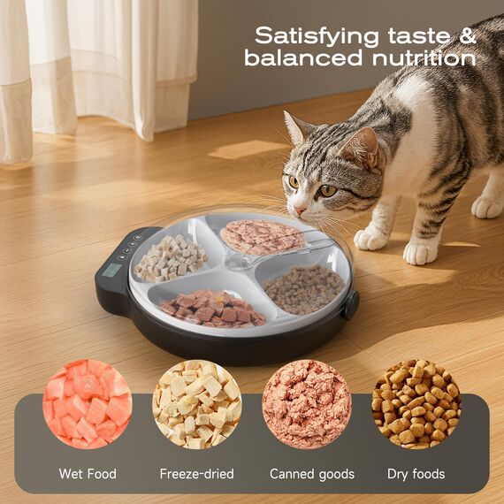 Futterautomat Katze Nassfutter Katzenfutter Automat: Futterspender Katze mit Programmierbarem Timer und Kuehlung - Trockenfutterspender für Hund Kabellos Batteriebetrieben - 4 Mahlzeiten für Haustiere