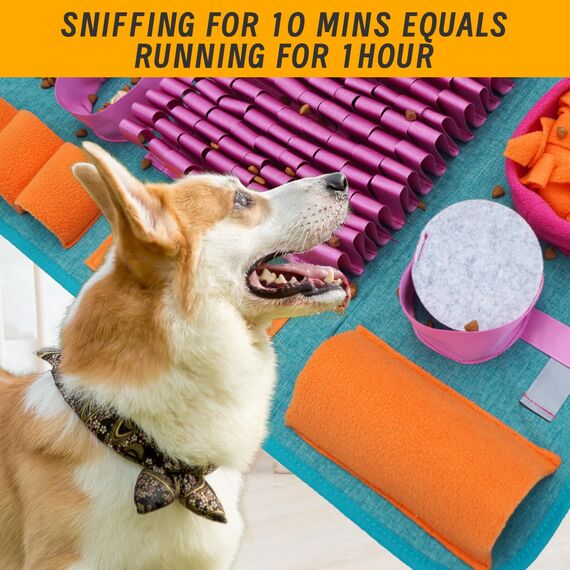 Futtermatte Trainingsmatte Hund SchnüFfelteppich Waschbar Trainingsmatte SchnüFfelteppich FüR Hunde Riechen Trainieren Gegen Langeweile Und Anregung LangsamfüTterungsunterlage FüR Welpen(66 * 42cm)