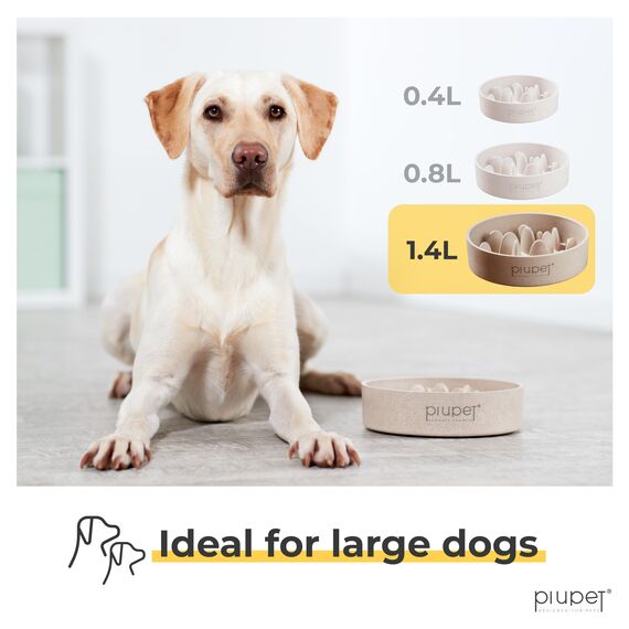 PiuPet® Antischlingnapf Hunde I 1,4L I Spülmaschinenfest | Schlingnapf Hunde groß I Anti Schling Napf Hund | Slow Feeder Hundenapf | Futternapf Hund | Dog Bowl (Packung mit 2)
