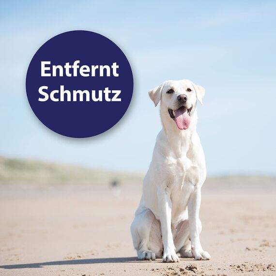 Canosept Ohrpflege Finger-Pads für Hunde 50 Stück - praktischer Hunde Ohrenreiniger Hund, Ohrreiniger für Hunde, Pflege & Hygiene