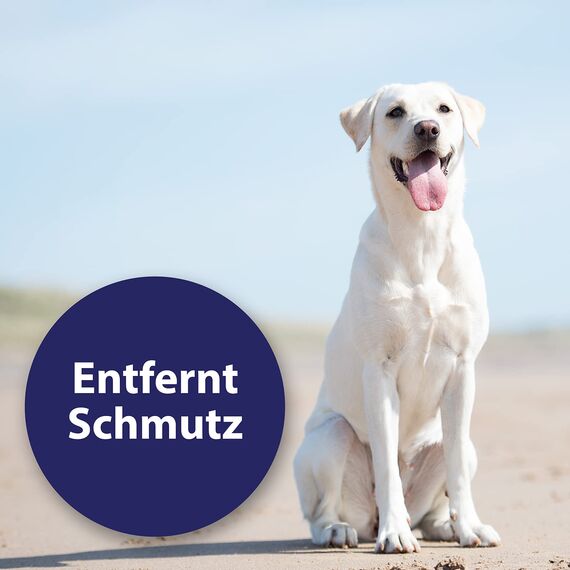 Der Canosept Ohrenreiniger ist ein absolutes Muss in der Hundepflege - es ist reinigend, antiseptisch & wirkt geruchstilgend - für glückliche & gesunde Haustiere