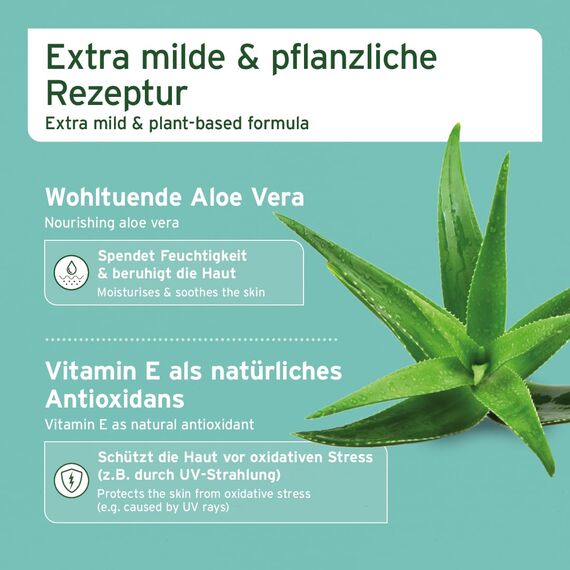 AniForte Ohren Reinigungspads für Hunde & Katzen 100 Stück – Besonders weiche & milde Reinigungstücher für die Ohrenhygiene, sanfter Ohrenreiniger zur Pflege & Reinigung
