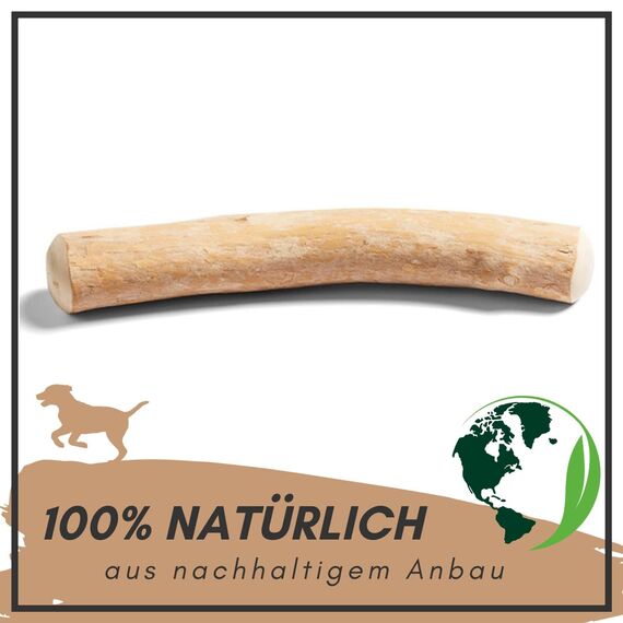 Supravit Natürlicher Kauknochen aus Kaffeeholz für Hunde S | Mehr als EIN Holzstäbchen - spannendes Hunde Kauspielzeug & langanhaltende Beschäftigung | Kaustab Kauholz