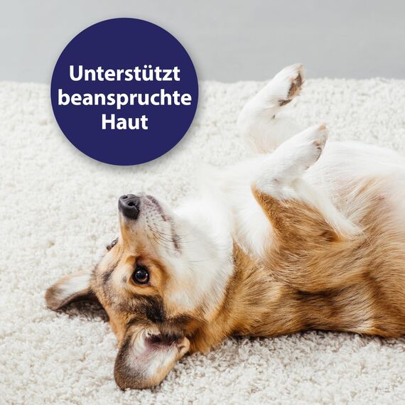 Canosept Mikro Silberspray für Hunde 75ml - Silberspray Hund gegen Juckreiz Hunde - Wundspray Hund - Schmerzfrei für den Welpen - ohne Aluminium & kolloidales Silber - spendet Feuchtigkeit