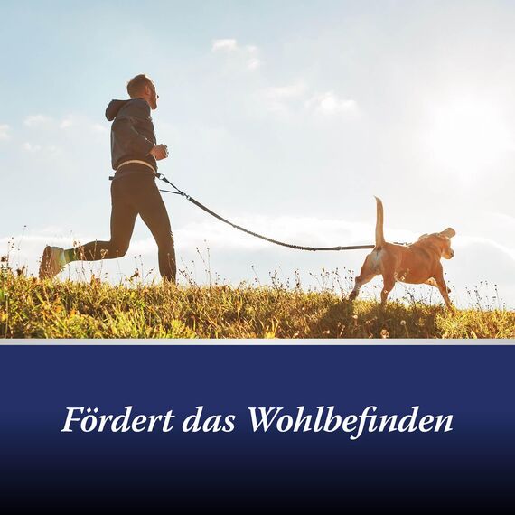 Canosept Gelenktabletten Hund - Einzigartige Rezeptur: Mit Grünlippmuschel, Glucosamin, Kollagen - Hervorragende Akzeptanz - 20 Tabletten