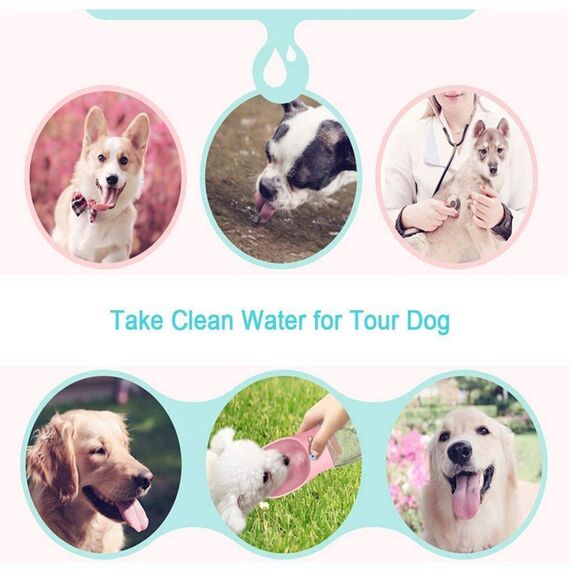 COTOP Hundetrinkflasche für Unterwegs, Tragbare Trinkflasche Hund 550ml, BPA-frei Wasserflasche Hunde to go, Reise Trinknapf für Hunde Klein, Auslaufsicher Wasserspender Pet Outdoor (weiß)