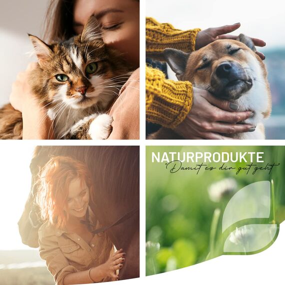 ReaVET Welpenshampoo Aloe Vera 250ml – extra mild für Hunde Welpen I Hundeshampoo, Shampoo für Hunde - glänzendes & leicht kämmbares Fell, Parfumfrei, Hundeshampoo Sensitiv