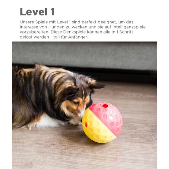 Outward Hound Nina Ottosson Hundespielzeug Intelligenz - Stufe 1 Anfänger - Leckerli-Spender, Beschäftigung & Intelligenzspielzeug für Hunde & Welpen, bei Langeweile & mentaler Stimulation