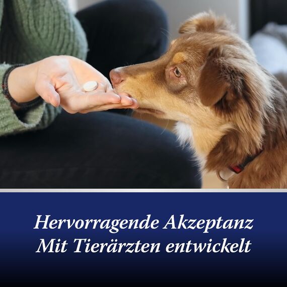 Canosept Darmflora Hund - Präbiotika & Probiotika Hund - Zur Stabilisierung der physiologischen Verdauung - Hund Darmflora Aufbauen - Darmsarnierung Hund - Darmkur Hund - 30 Tabletten