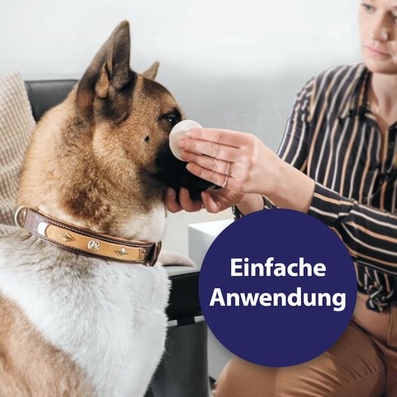 Canosept Augenpflege-Pads für Hunde 100 Stück - Augenpflege Hund & Tränenfleckenentferner Hund – Augenreiniger für Hunde mit beruhigendem Aloe Vera Extrakt, schonende Hundepflege