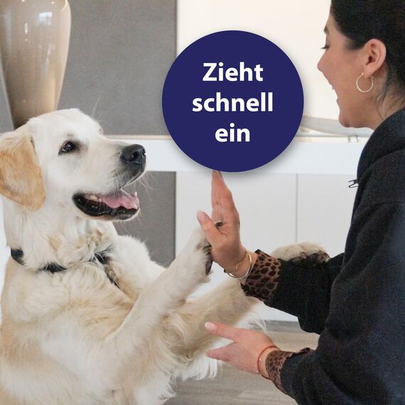 Canosept Pfotenpflege für Hunde 75g - Pfotenbalsam Hund - Pfotenpflege Hund - Hundepfoten Pflege Creme für weiche & geschützte Pfoten bei jeder Wetterlage