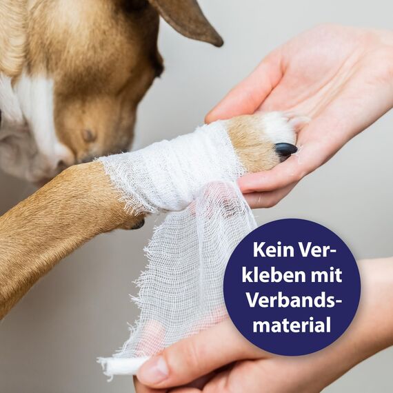 Canosept Wundgel für Hunde 20ml - Wundsalbe Hund - Reinigung & Pflege von Wundbereichen beim Hund - Optimale Wundversorgung - Stressfreie Anwendung - Von Tierärzten empfohlen