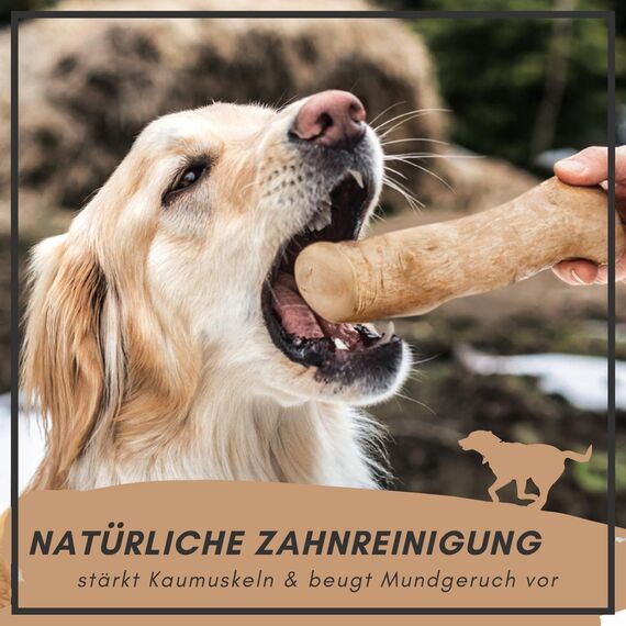Supravit Natürlicher Kauknochen aus Kaffeeholz für Hunde S | Mehr als EIN Holzstäbchen - spannendes Hunde Kauspielzeug & langanhaltende Beschäftigung | Kaustab Kauholz