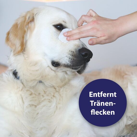 Canosept Augenpflege-Pads für Hunde 3 x 100 Stück - Augenpflege Hund & Tränenfleckenentferner Hund – Augenreiniger für Hunde mit beruhigendem Aloe Vera Extrakt, schonende Hundepflege