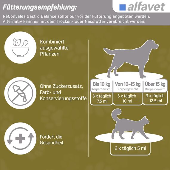 alfavet, ReConvales Gastro Balance für Katze und Hund, zur Pflege der Magenschleimhaut mit Säureregulator, Ergänzungsfuttermittel, 3 x 90 ml