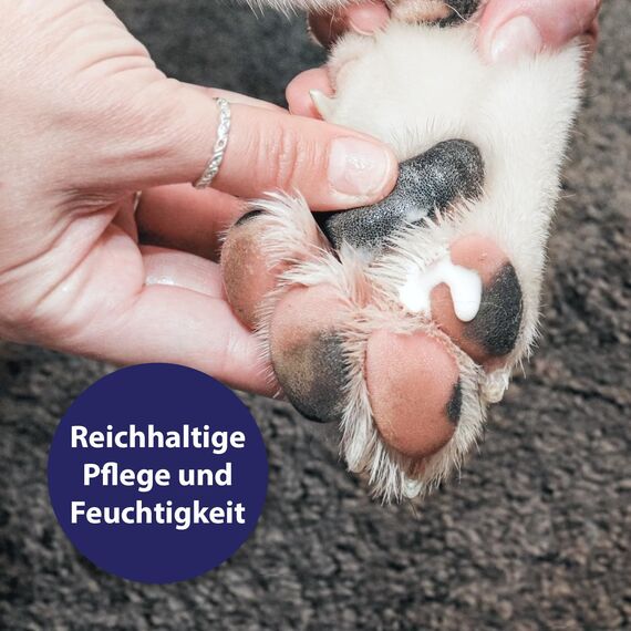 Canosept Pfotenpflege für Hunde 75g - Pfotenbalsam Hund - Pfotenpflege Hund - Hundepfoten Pflege Creme für weiche & geschützte Pfoten bei jeder Wetterlage