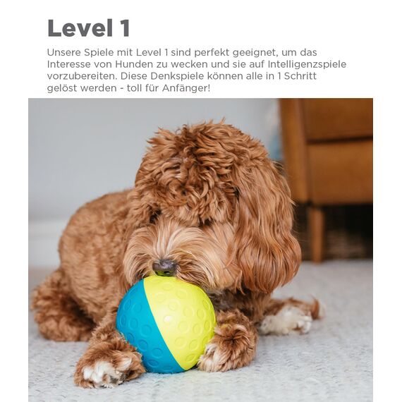 Outward Hound Nina Ottosson Hundespielzeug Intelligenz - Stufe 1 Anfänger - Leckerli-Spender, Beschäftigung & Intelligenzspielzeug für Hunde & Welpen, bei Langeweile & mentaler Stimulation