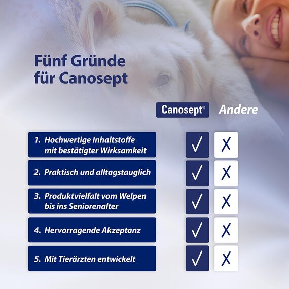 Canosept Sensitiv Ohrenreiniger Hund 75ml - Ohrreiniger für Hunde - Hunde Ohrenreiniger besonders schonend mit Mikrosilber, Panthenol & Hamamelis-Extrakt - Ohrentropfen für empfindliche Hundeohren