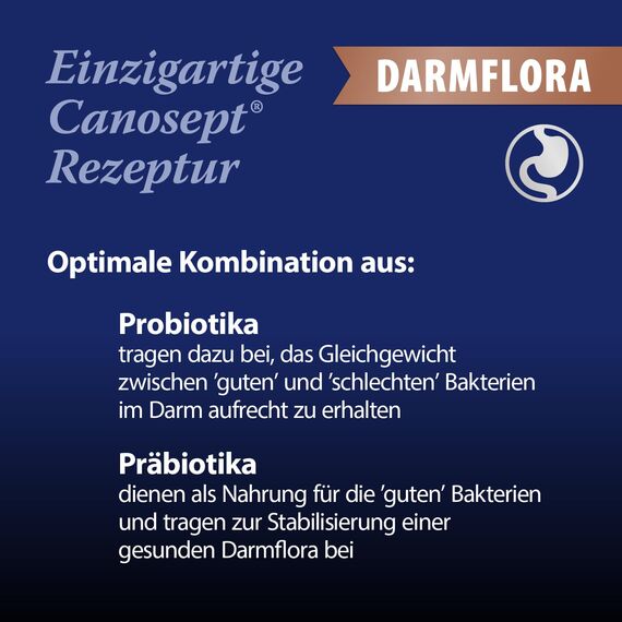 Canosept Darmflora Hund - Präbiotika & Probiotika Hund - Zur Stabilisierung der physiologischen Verdauung - Hund Darmflora Aufbauen - Darmsarnierung Hund - Darmkur Hund - 30 Tabletten