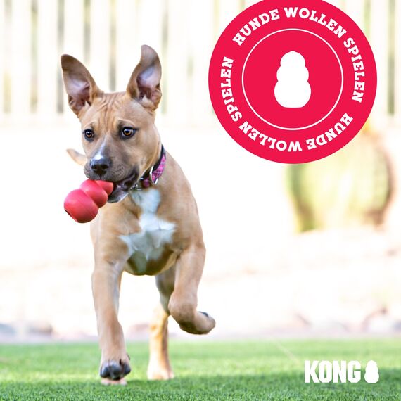 KONG Classic - Füllbares Hundespielzeug - Apportier- und Kauspielzeug für Hunde - Kann Mit Leckerlis Gefüllt Werden - Strapazierfähiges Naturkautschukmaterial - Für Kleine Hunde
