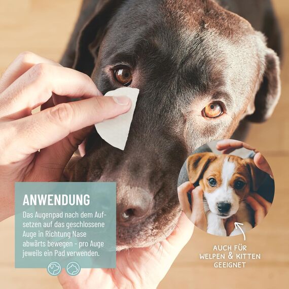ReaVET Augenpflege Hund 100 Stück – Augenpads I Sanfter Augenreiniger für Hunde & Katzen, Milde & Schonende Reinigungstücher mit Augentrost, Tränenfleckentferner ohne Reizen, Augen Reinigungspads