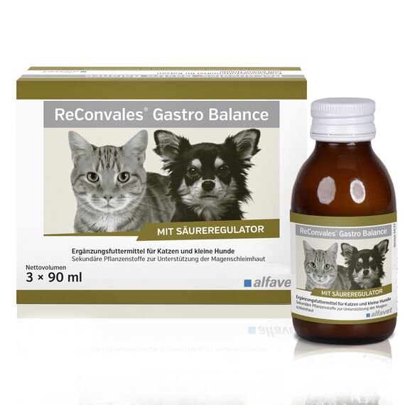 alfavet, ReConvales Gastro Balance für Katze und Hund, zur Pflege der Magenschleimhaut mit Säureregulator, Ergänzungsfuttermittel, 3 x 90 ml
