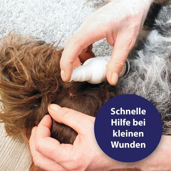 Canosept Wundspray für Hunde 75ml - Zur Reinigung und Pflege von Wundbereichen - Optimale Wundversorgung - Stressfreie Anwendung - Von Tierärzten empfohlen