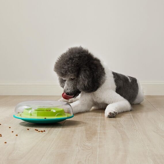Outward Hound Nina Ottosson Wobble Bowl - Intelligenzspielzeug/Anti-Schling-Napf für Hunde - interaktiv