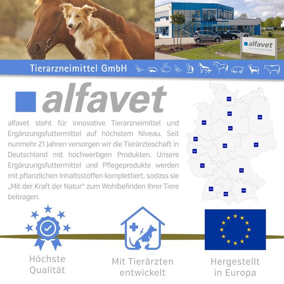 alfavet, ReConvales Gastro Balance für Katze und Hund, zur Pflege der Magenschleimhaut mit Säureregulator, Ergänzungsfuttermittel, 3 x 90 ml