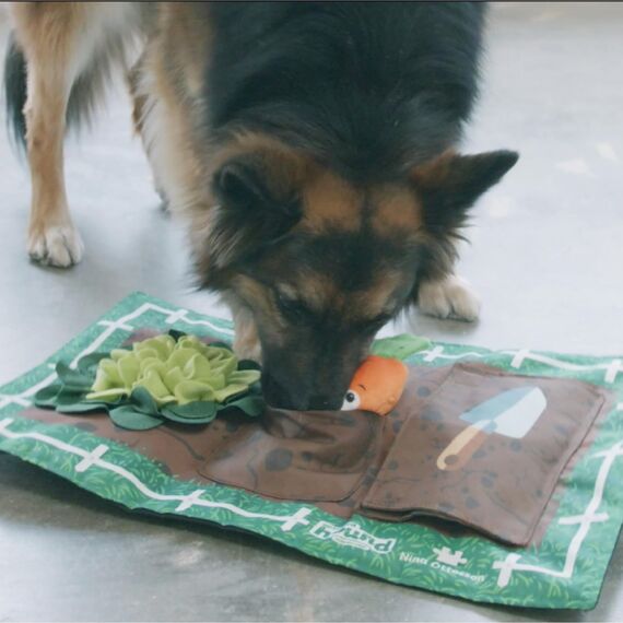 Outward Hound Nina Ottosson Activity Matz Garden Game - Spielmatte für Hunde - plüschig & unterhaltsam