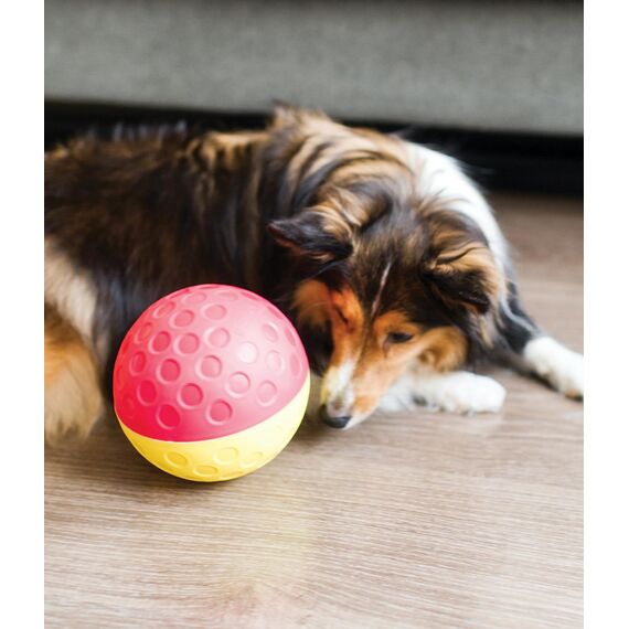Outward Hound Nina Ottosson Hundespielzeug Intelligenz - Stufe 1 Anfänger - Leckerli-Spender, Beschäftigung & Intelligenzspielzeug für Hunde & Welpen, bei Langeweile & mentaler Stimulation