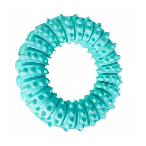 TRIXIE Denta Fun Ring Mintfresh Naturgummi ø 12 cm