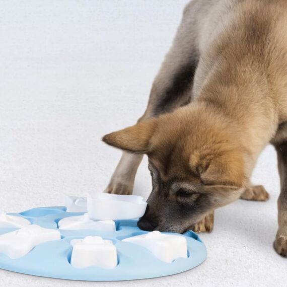 Outward Hound Nina Ottosson Hundespielzeug Intelligenz - Stufe 1 Anfänger - Leckerli-Spender, Beschäftigung & Intelligenzspielzeug für Hunde & Welpen, bei Langeweile & mentaler Stimulation