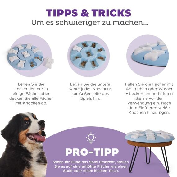 Outward Hound Nina Ottosson Hundespielzeug Intelligenz - Stufe 1 Anfänger - Leckerli-Spender, Beschäftigung & Intelligenzspielzeug für Hunde & Welpen, bei Langeweile & mentaler Stimulation