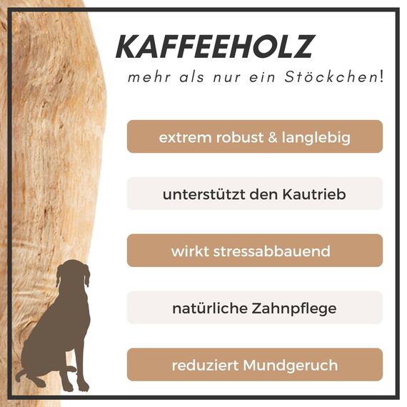 Supravit Natürlicher Kauknochen aus Kaffeeholz für Welpen XS | Mehr als EIN Holzstäbchen - spannendes Welpen Kauspielzeug & langanhaltende Beschäftigung | Kaustab Kauholz (Packung mit 2)