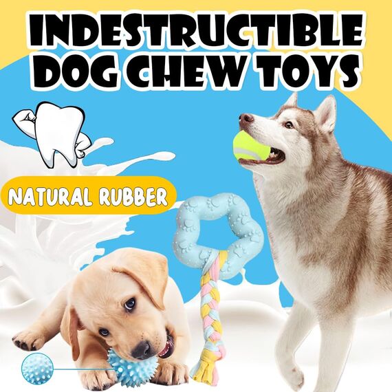 Speedy Panther 10 Stück Welpen Spielzeug Set - Plüsch Hundespielzeug mit Quietscher, Kauspielzeug & Ball für Kleine Hunde - Zahnpflege Welpenspielzeug & Zubehör für Junghunde