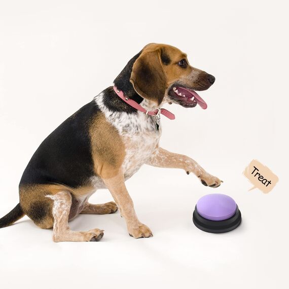 Buzzer mit Aufnahmefunktion, Buzzer mit Aufnahmefunktion, Intelligenzspielzeug für Hunde, Haustier Talking Training Antwort Buzzer, 30 Sekunden Aufnahme &Wiedergabe, 4 Stück