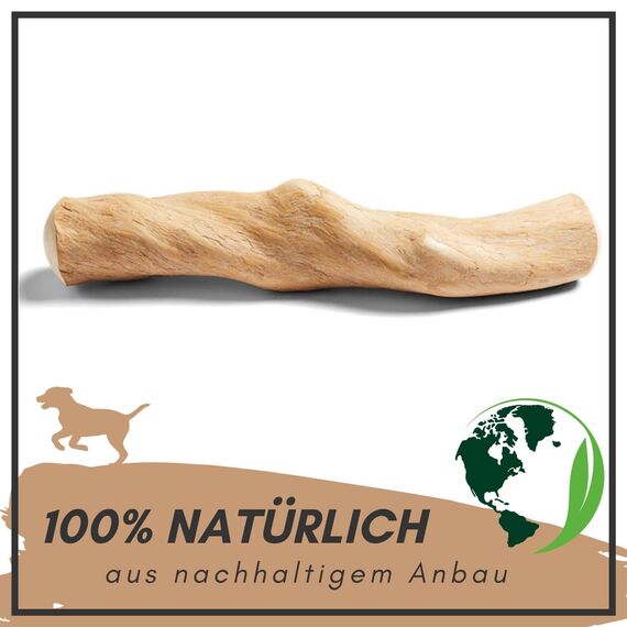 Supravit Natürlicher Kauknochen aus Kaffeeholz für Hunde M | Mehr als EIN Holzstäbchen - spannendes Hunde Kauspielzeug & langanhaltende Beschäftigung | Kaustab Kauholz