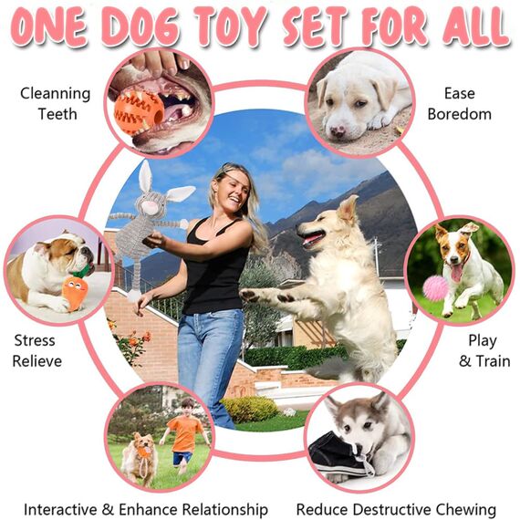 10Pcs Hundespielzeug für Kleine Hunde, Quietschende Plüsch Hundespielzeug Set, Welpe Zahnen Spielzeug Seil Ball, Unzerstörbar Hund Kauspielzeug, Hundespielzeug Geschenk für Kleine Mittlere Hunde
