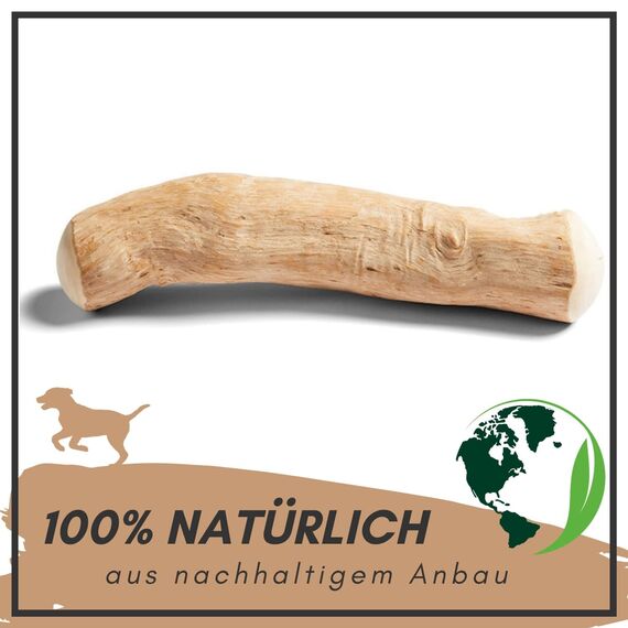 Supravit Natürlicher Kauknochen aus Kaffeeholz für Hunde L | Mehr als EIN Holzstäbchen - spannendes Hunde Kauspielzeug & langanhaltende Beschäftigung | Kaustab Kauholz (Packung mit 2)