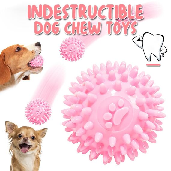 10Pcs Hundespielzeug für Kleine Hunde, Quietschende Plüsch Hundespielzeug Set, Welpe Zahnen Spielzeug Seil Ball, Unzerstörbar Hund Kauspielzeug, Hundespielzeug Geschenk für Kleine Mittlere Hunde