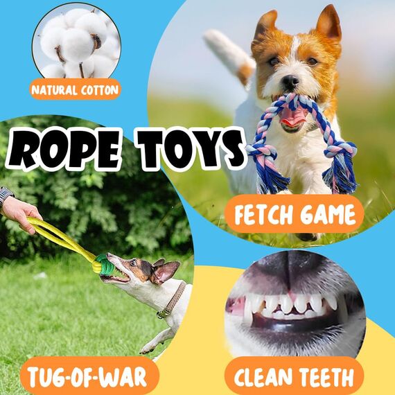 Speedy Panther 10 Stück Welpen Spielzeug Set - Plüsch Hundespielzeug mit Quietscher, Kauspielzeug & Ball für Kleine Hunde - Zahnpflege Welpenspielzeug & Zubehör für Junghunde