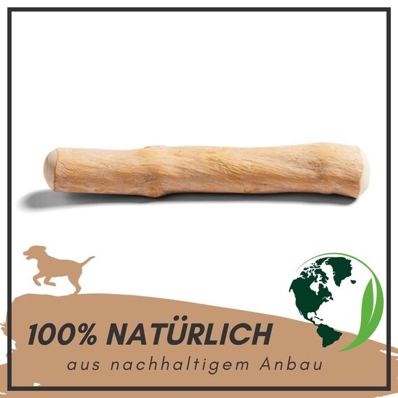 Supravit Natürlicher Kauknochen aus Kaffeeholz für Welpen XS | Mehr als EIN Holzstäbchen - spannendes Welpen Kauspielzeug & langanhaltende Beschäftigung | Kaustab Kauholz