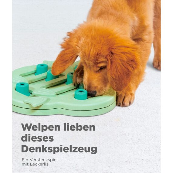 Outward Hound Nina Ottosson Puppy Hide n' Slide - Interaktives Leckerli-Denkspielzeug für Hunde - Grün